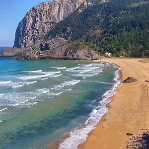 https://laga-blue-surf.basquecountryhotels.org